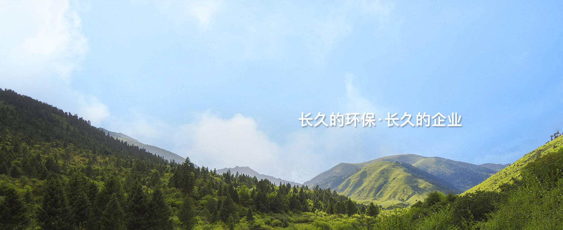 AG庄嫌驻(中国)集团