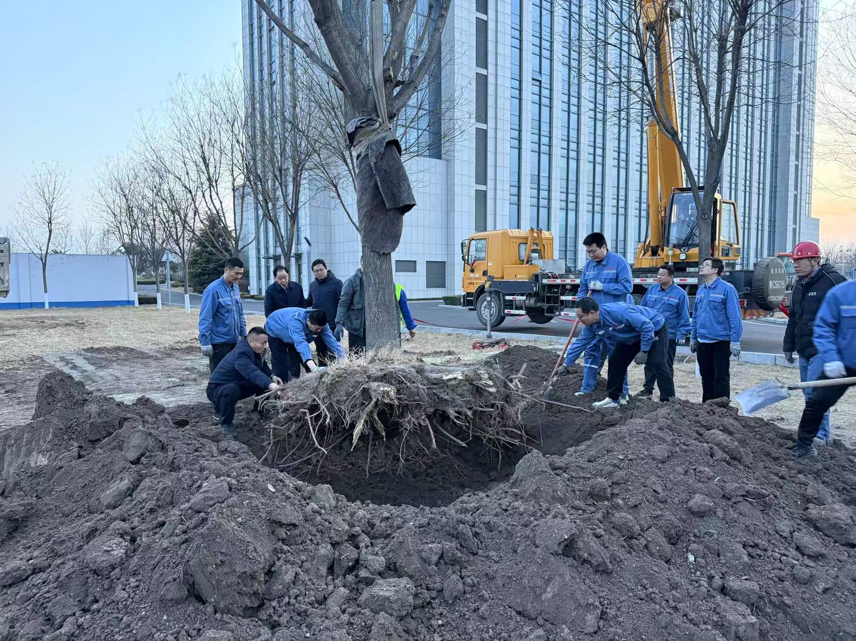 2025年3月1日AG庄闲集团干部职工合力栽下新春第一树